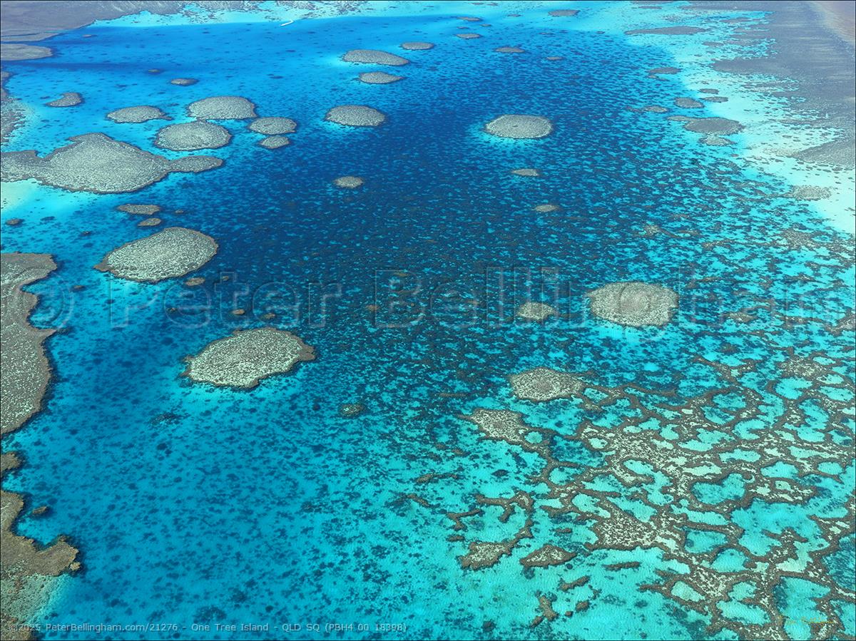 Peter Bellingham Photography One Tree Island - QLD SQ (PBH4 00 18398)